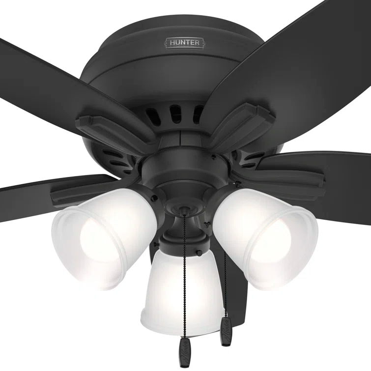 Hunter Fan Newsome 42" 5 - Blade Traditional Indoor Flush Mount Ceiling Fan with Lights and Pull Chains