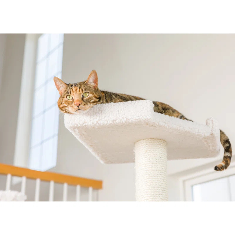 Premium 78'' H Cat Tree