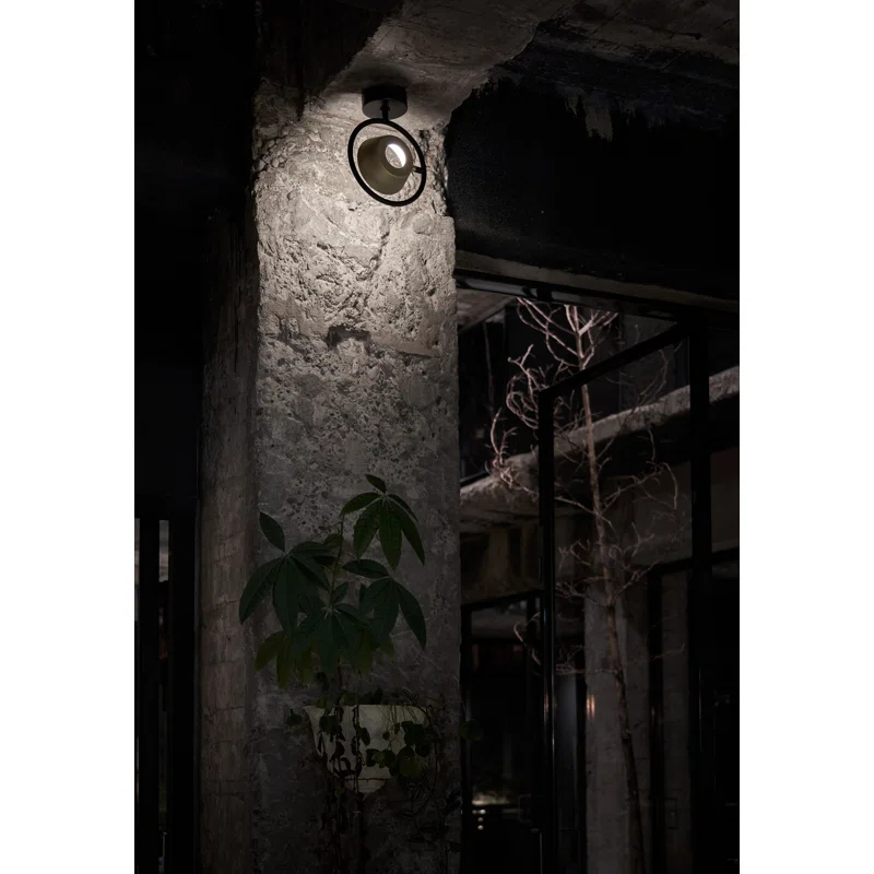 Seed Design Olo Ring Wall Sconces