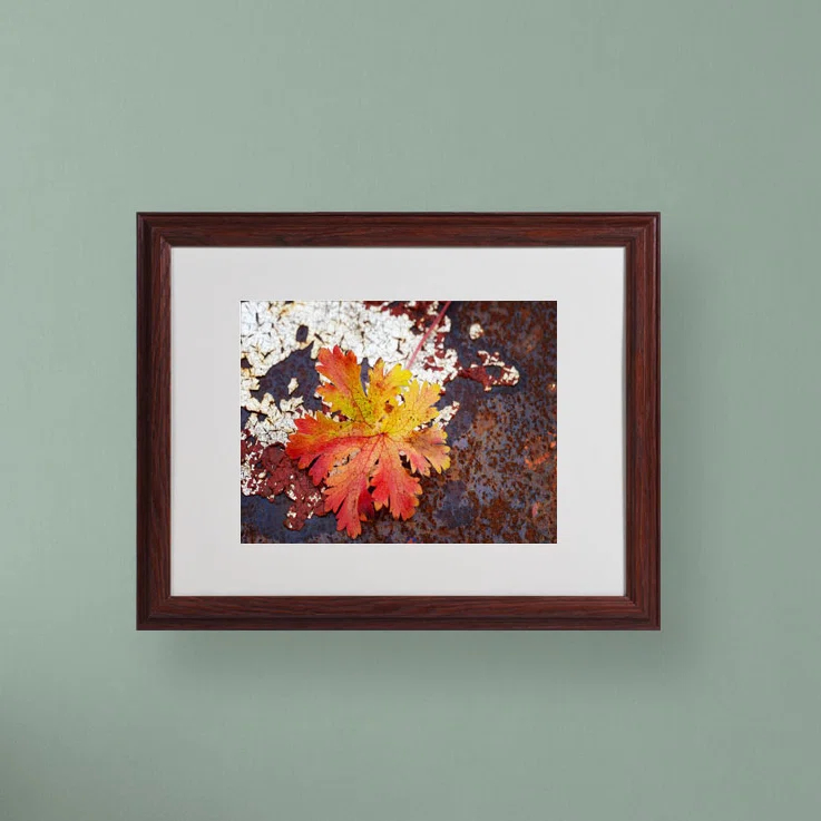 Trademark Fine Art Autumn " Autumn Rust " by Philippe Sainte-Laudy