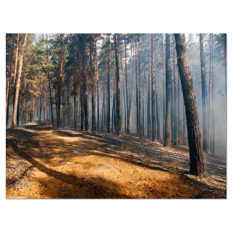 " Fire In Forest With Flame And Smoke "