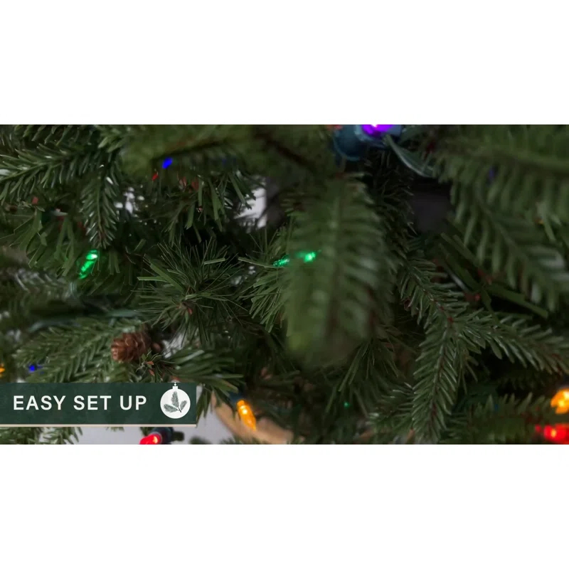 Fraser Hill Farm Homestead Newberry Pine Lighted Pine Christmas Tree (Set of 2)