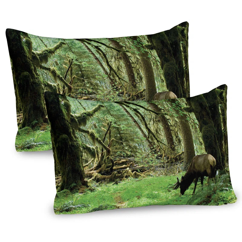 Ambesonne Ambesonne Forest Pillow Sham 2 Pack Roosevelt Elk in Park 26"x20" Green Brown