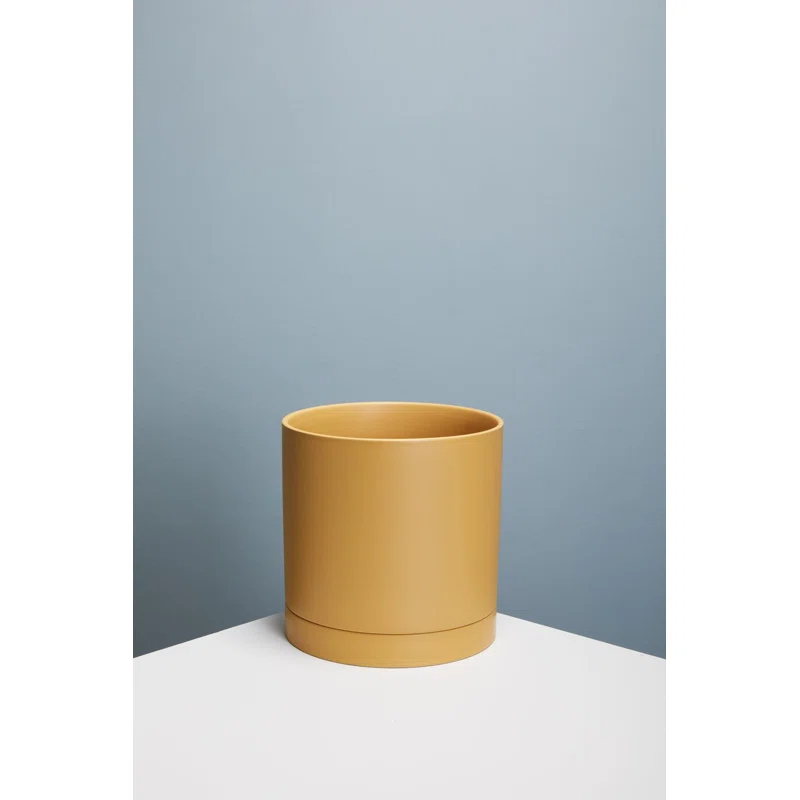 AllModern Carlotta Ceramic Pot Planter