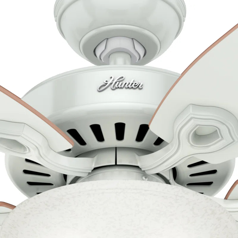 Hunter Fan 52" Builder Deluxe 5 - Blade Standard Ceiling Fan with Pull Chain and Light Kit Included