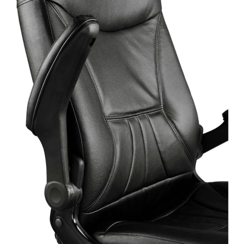 Interion Genuine Leather Executive Chair