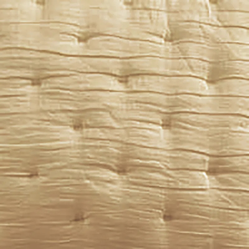 Gold Hypoallergenic Cotton Euro Sham