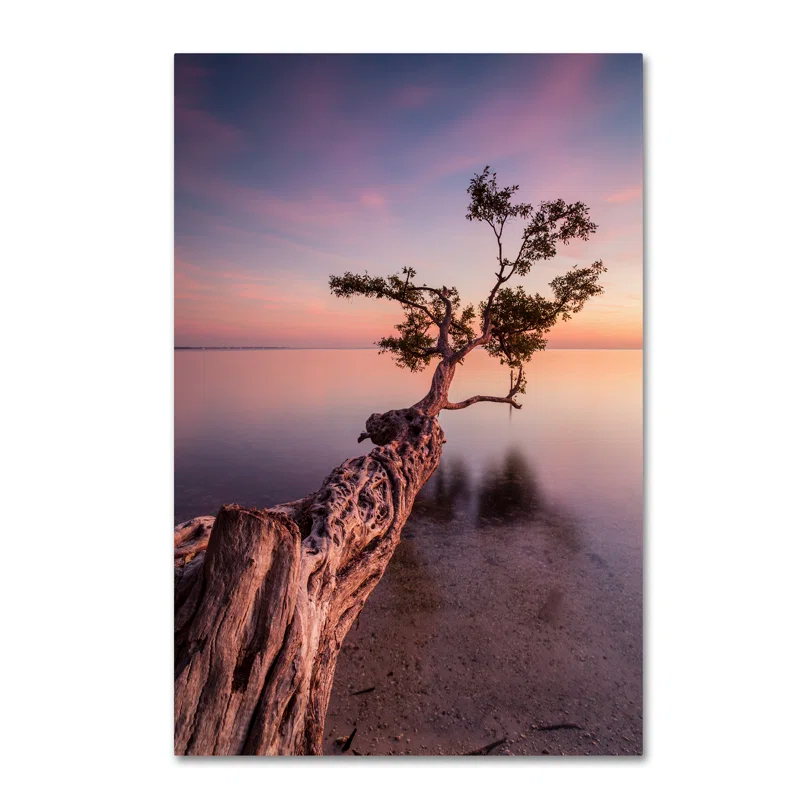 Trademark Fine Art "Water Tree IV" by Moises Levy Photographic Print on Wrapped Canvas