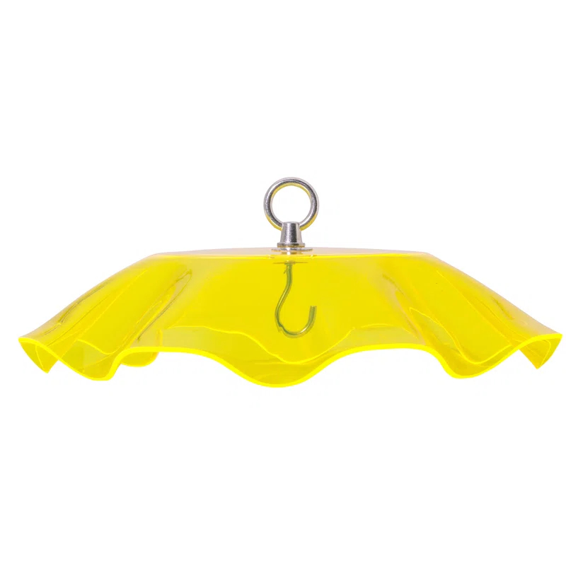 Birds Choice Birds Choice 13" Color Pop Collection Acrylic Bird Feeder Scalloped Weather guard