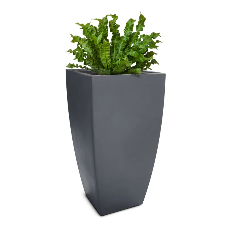 Mayne Inc. Vernamae  Resin Pot Planter With Water Reservoir