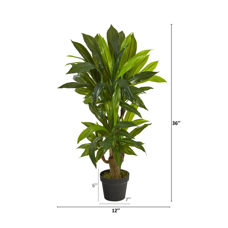Primrue 3ft. Corn Stalk Dracaena Artificial Plant (Real Touch)