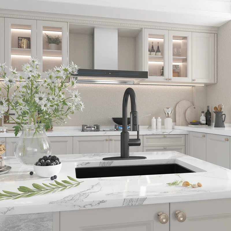 Boyel Living BL-APS244-MB Boyel Living Kitchen Faucet