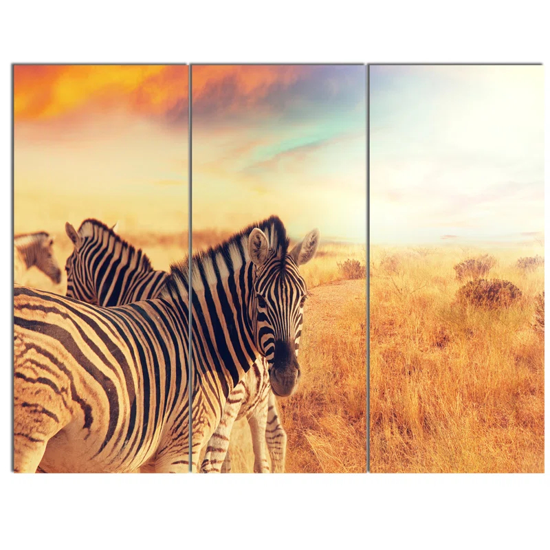 Design Art " Zebras Herd In Field At Sunset " 3 - Pieces