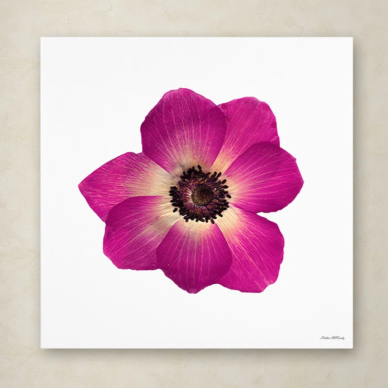 Trademark Fine Art 'Hot Pink Flower Photographic Print