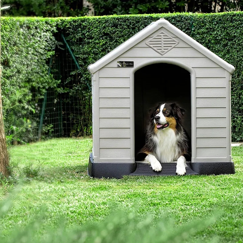 Aunyae Plastic Dog House