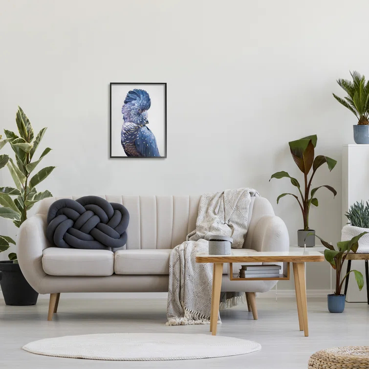 Stupell Industries " Gray Cockatoo Portrait " by Sisi And Seb