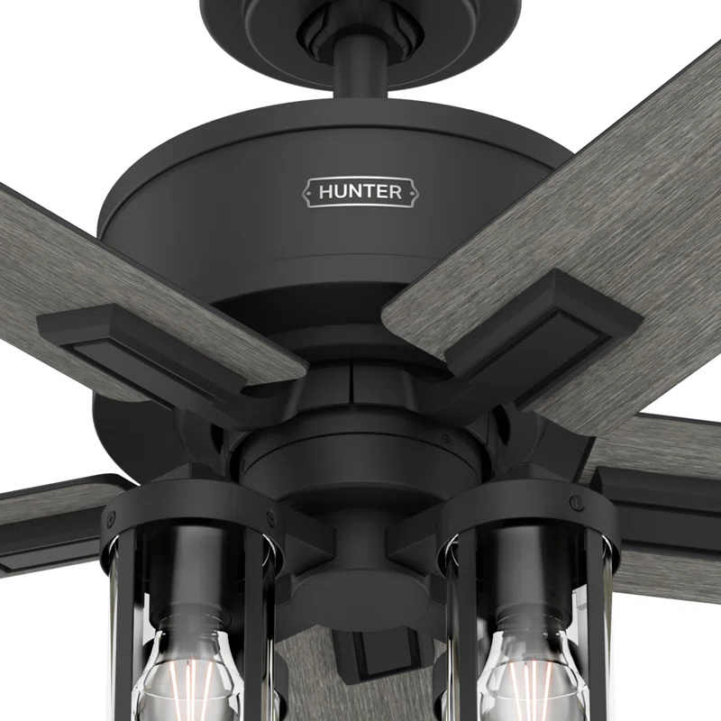 Hunter Fan Hunter 52 inch Astwood II Ceiling Fan with Lights and Remote
