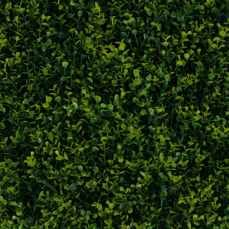 3rd Street Inn 2'' Faux Boxwood Hedge (Set of 2)