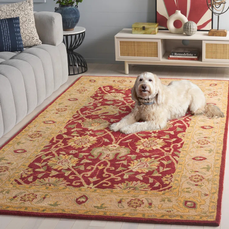 Safavieh 7'6" x 9'6" | Wayfair