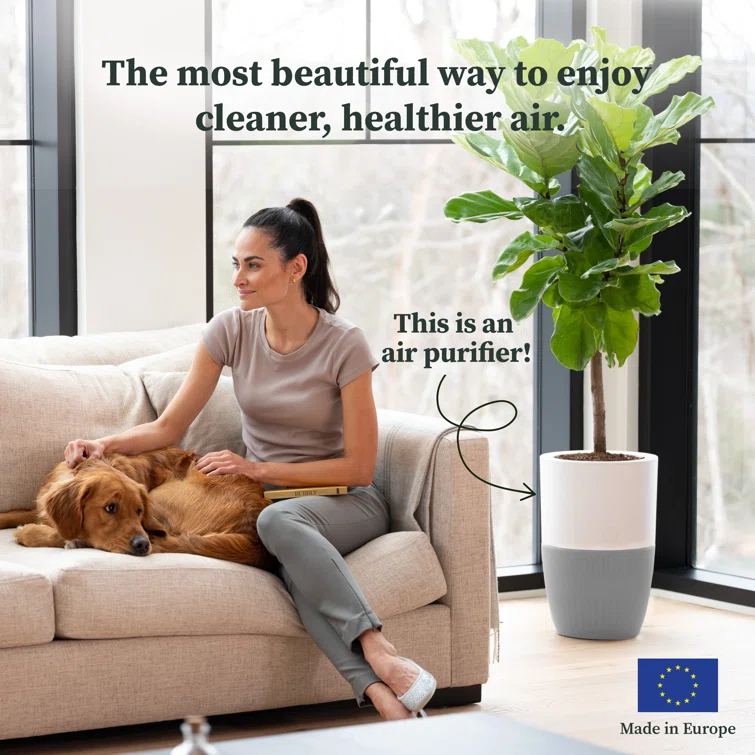 Dupray Dupray Personal Air Purifier with True HEPA Filter for 1517 Cubic Feet