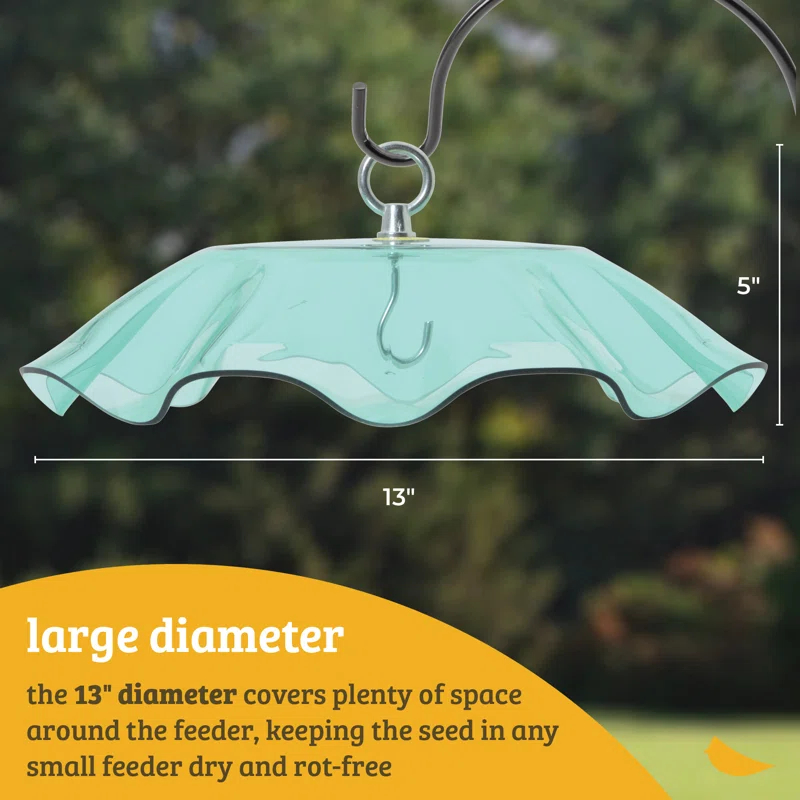 Birds Choice Birds Choice 13" Color Pop Collection Acrylic Bird Feeder Scalloped Weather guard