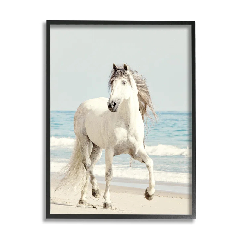 Stupell Industries " Galloping White Stallion Wild Horse Sun Bleached Coast "