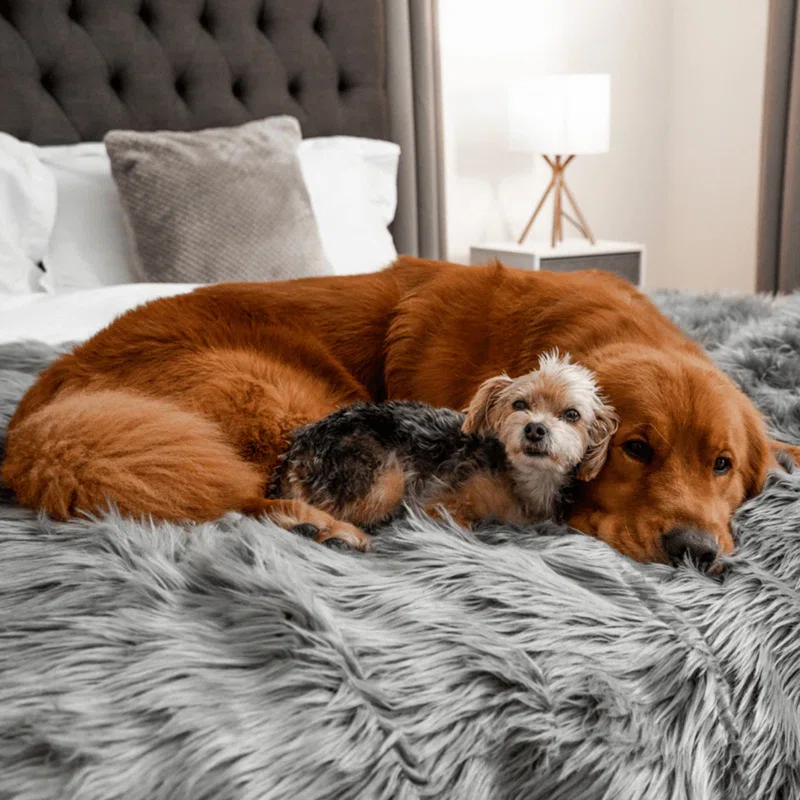 PupProtector Waterproof Throw Blanket