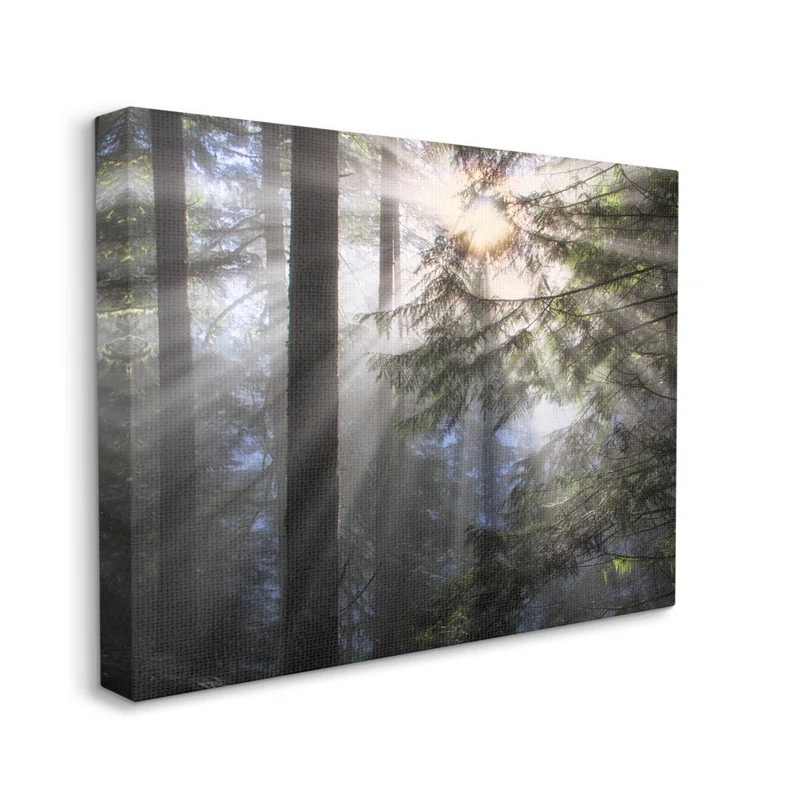 Stupell Industries Au-821-Canvas " Forest Sun Rays Nature Scenery " by Dennis Frates