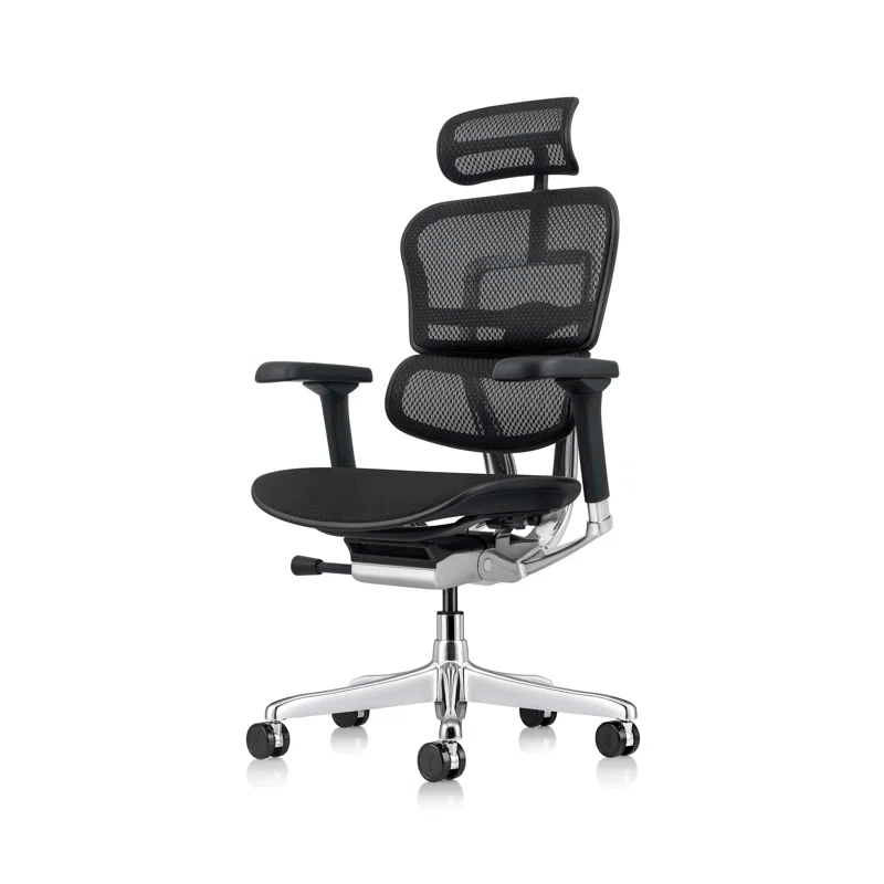 Eurotech Seating Ergohuman Executive Chair with Headrest