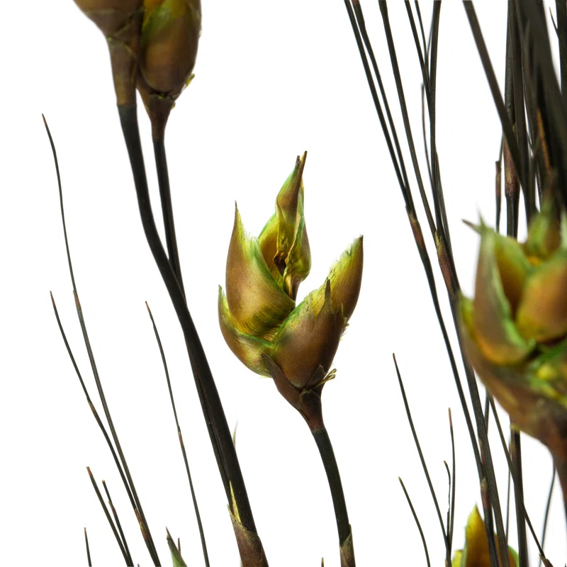 Primrue 36'' Grass