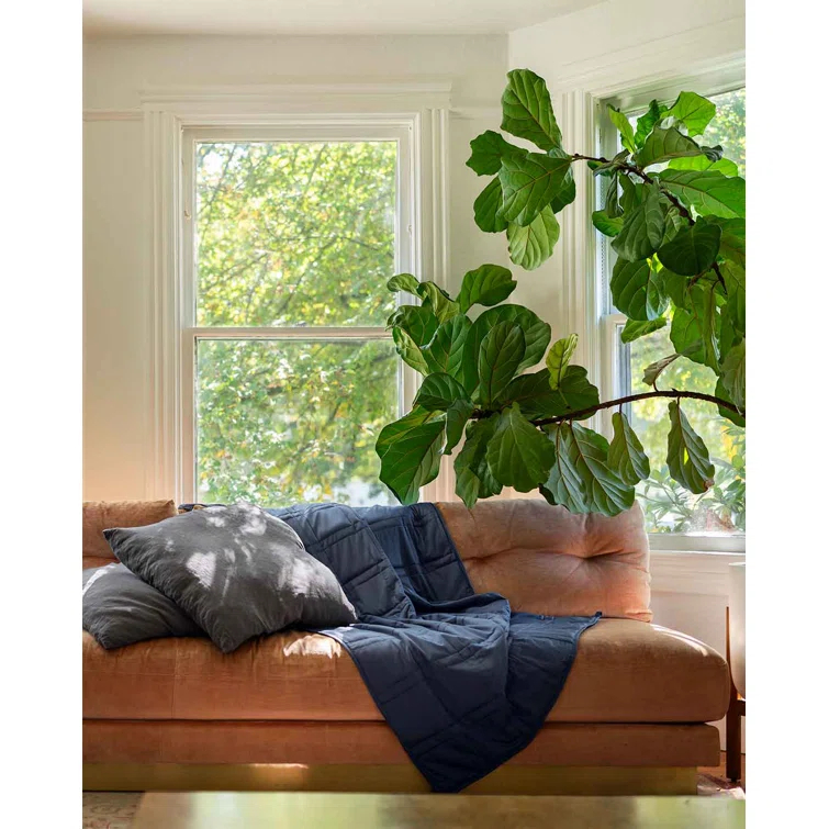 Baloo Living Baloo Living Cool Cotton Weighted Blanket