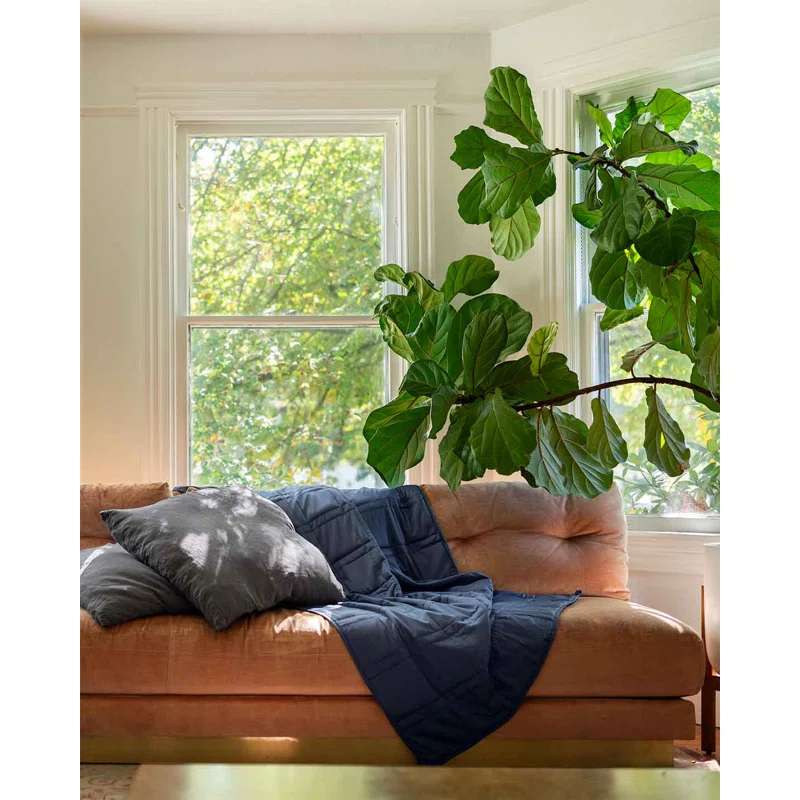 Baloo Living Baloo Living Cool Cotton Weighted Blanket