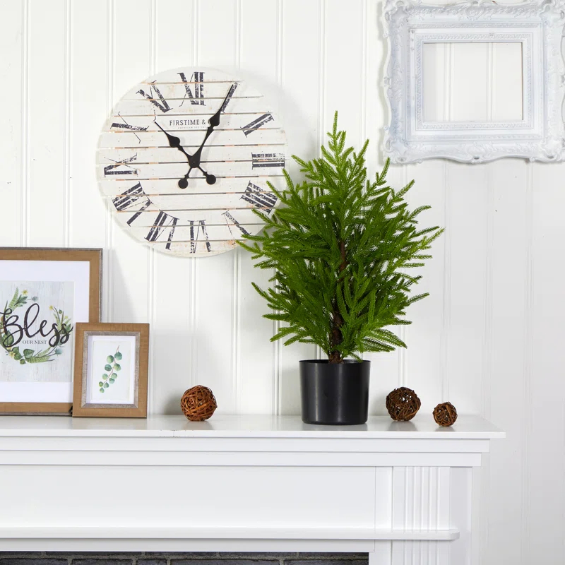 Primrue 2ft. Norfolk Island Pine Look Artificial Tree in Decorative Planter