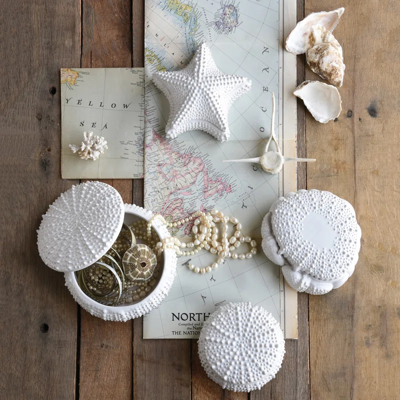 Highland Dunes Overbeck Ceramic Sea Urchin Box +