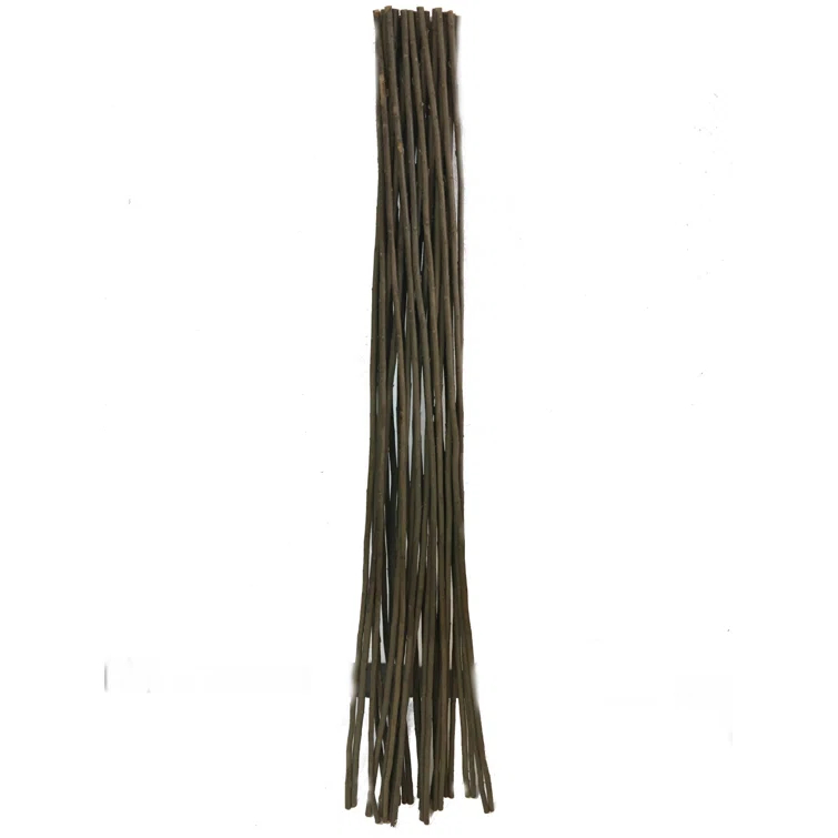 MGP 72'' H x 20'' W Wood Obelisk Trellis
