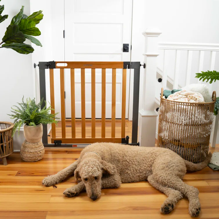 Ingenuity The Thruway 60XW Series Extra Wide Safety Pet and Baby Gate, 36"-60" Wide - Honey Oak