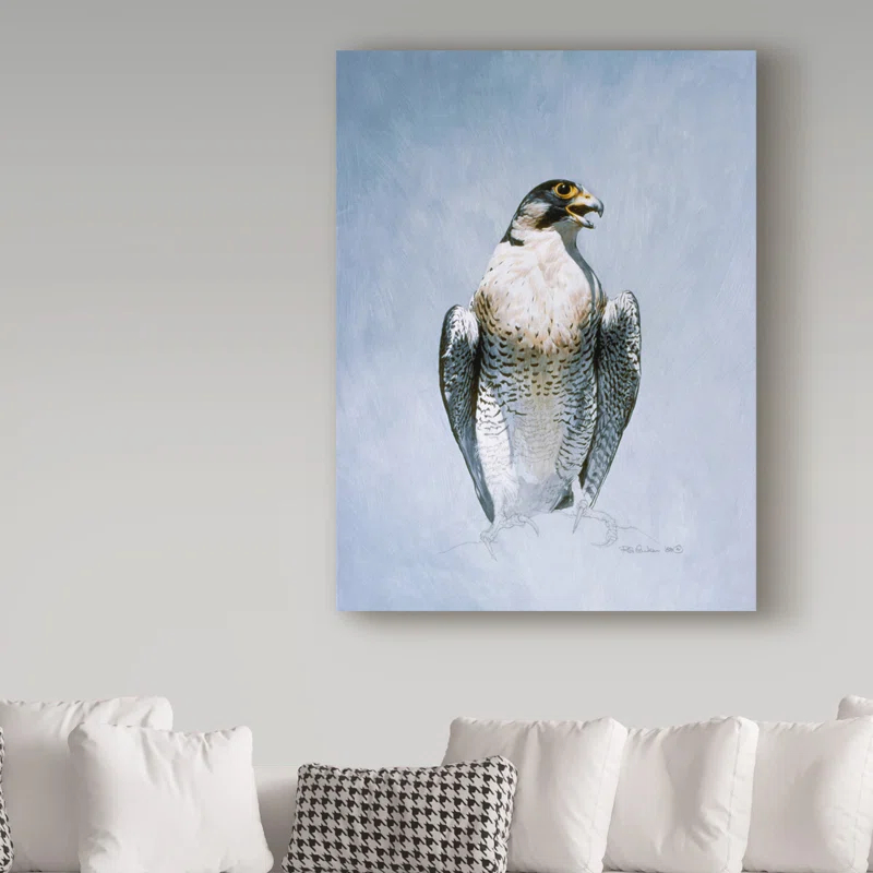 Trademark Fine Art Ron Parker " Peregrine Falcon " by Ron Parker
