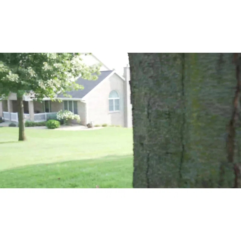 M&M Sales Enterprise M&M Sales Enterprise Adventure Fabric Black Disc Swing Saucer Seat, Ropes with Mounting Hangers and Chains