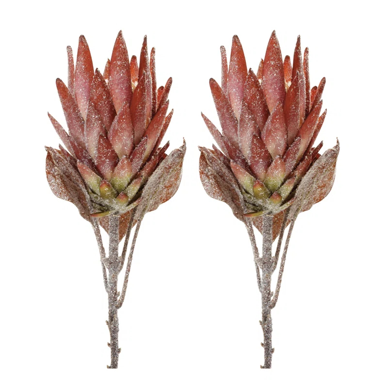 Protea Flower Stem (Set of 2) (Set of 2)