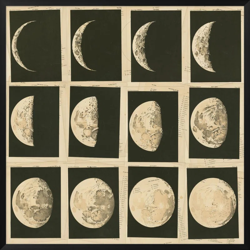 Wendover Art Group " Phases Of The Moon "