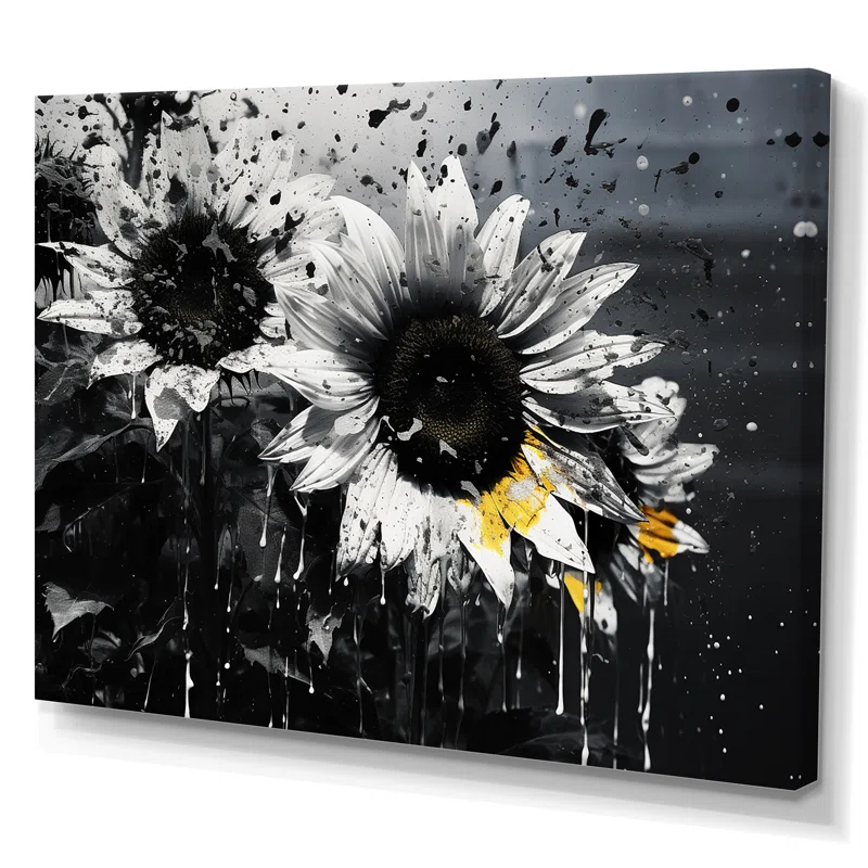 " Black And White Sunflowers Florescence "