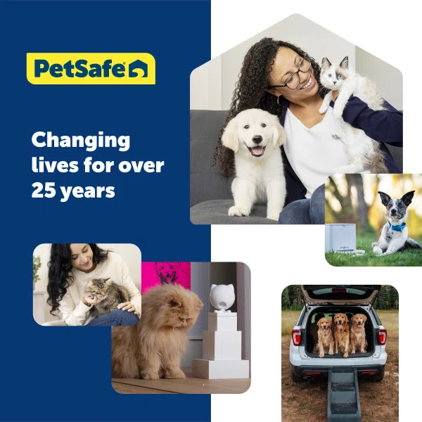 PetSafe Classic Replacement Flap, Medium & Reviews | Wayfair