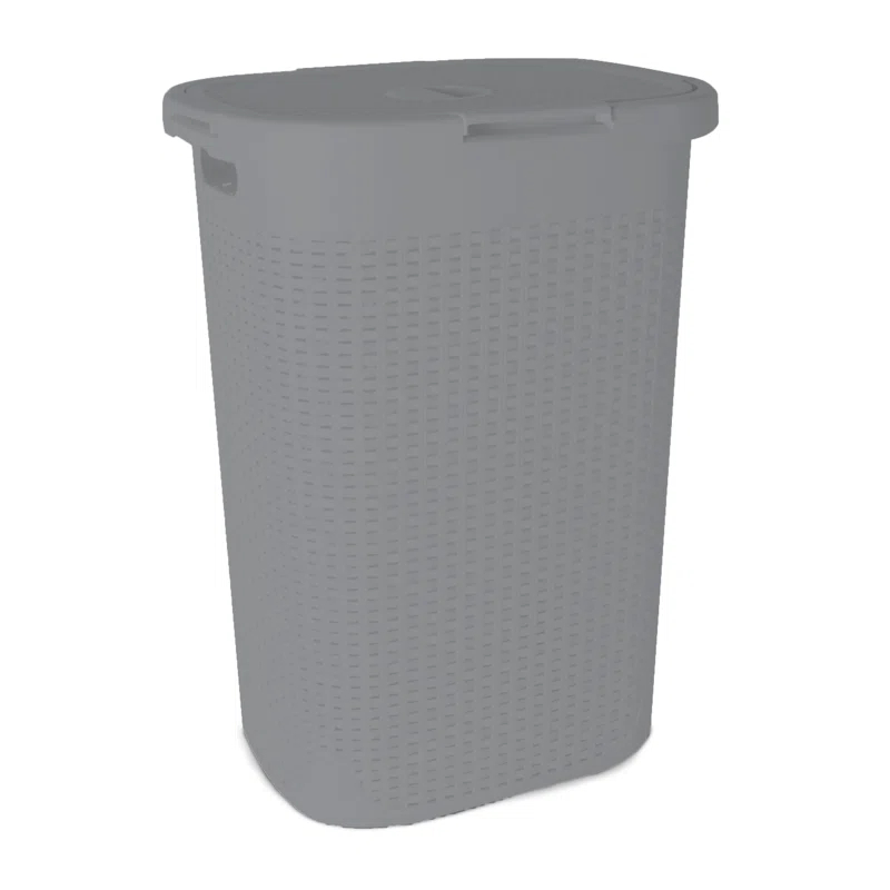 Rebrilliant Plastic Laundry Hamper with Handles