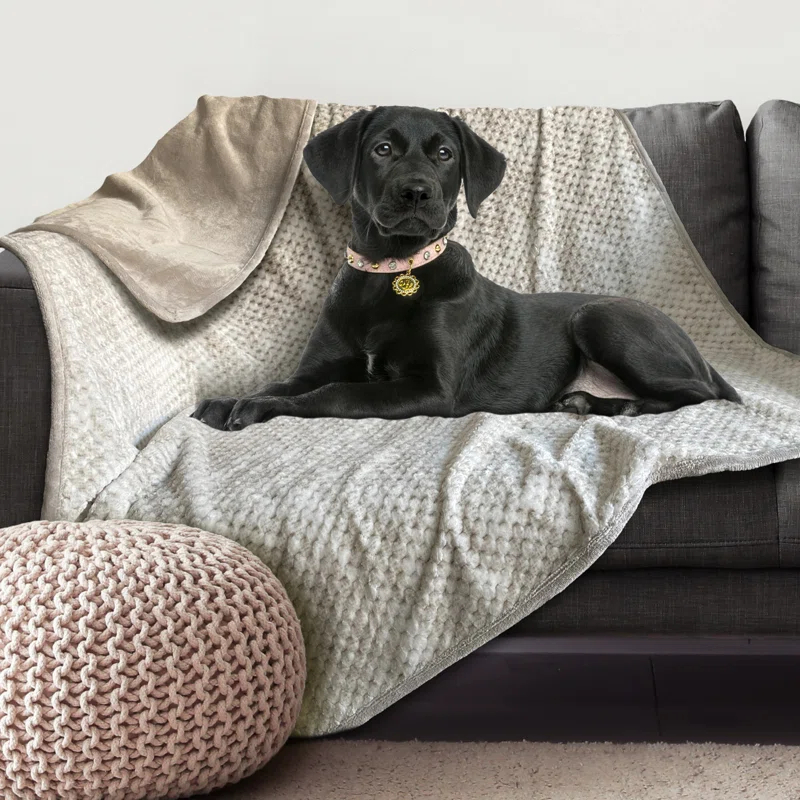 Cozy Waterproof Pet Throw