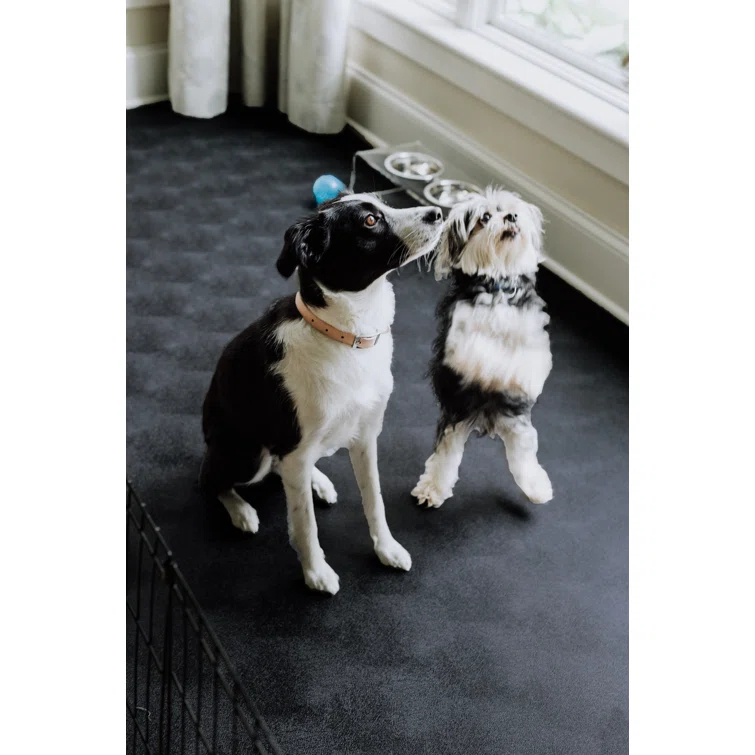 G-Floor Levant Pet Flooring Protector & Reviews | Wayfair
