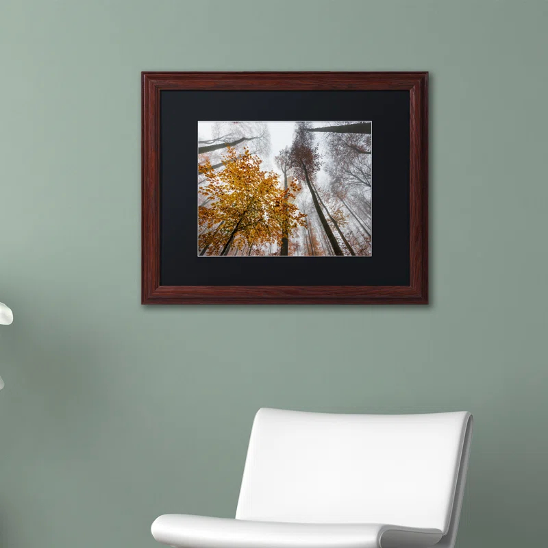 Trademark Fine Art " Daydreamer " by Philippe Sainte-Laudy