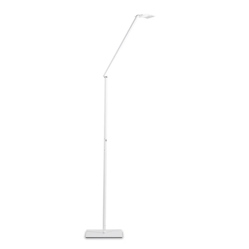 Koncept Technologies Inc Mosso Pro 43.9'' LED Task Floor Lamp with USB