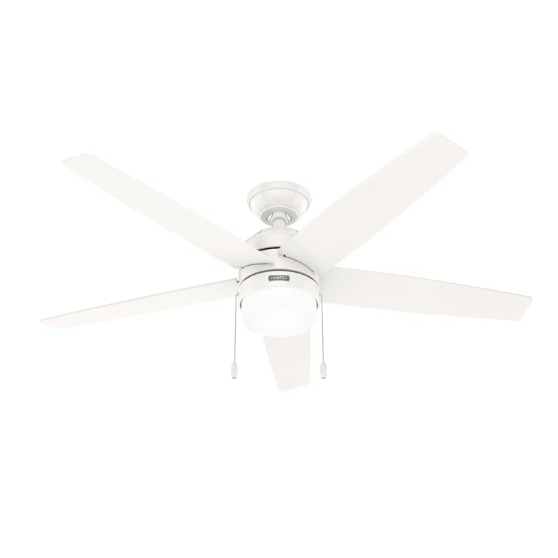 Hunter Fan Bardot 52" 5 - Blade Ceiling Fan With Lights and Pull Chains