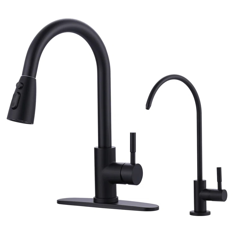 ARCORA ARCORA Stainless Steel Pull-Down Kitchen Faucet and Water Filter Faucet Combo AR7100301B-L