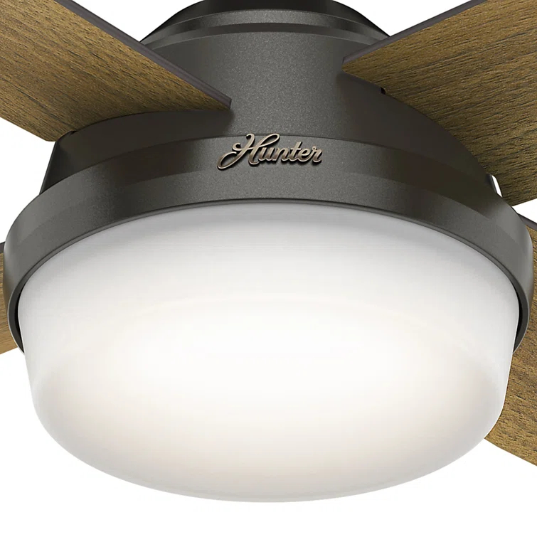 Hunter Fan Dempsey 52" 4 - Blade Contemporary Indoor Ceiling Fan with Lights and Remote